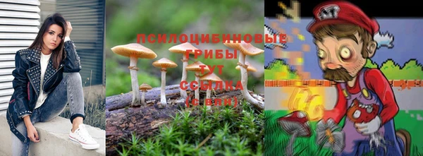 дмт Долгопрудный